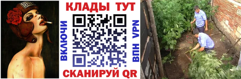 Купить Гашиш  Бошки Шишки  Кокаин  СОЛЬ  Меф  Ачхой-Мартан