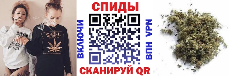 Купить  Ачхой-Мартан  Бутират BDO 