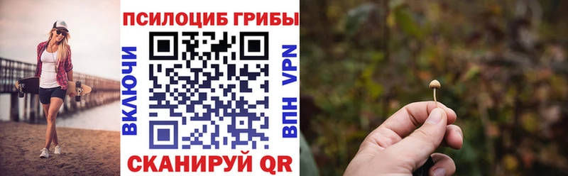 Купить закладки  Ачхой-Мартан  Псилоцибиновые грибы GOLDEN TEACHER 